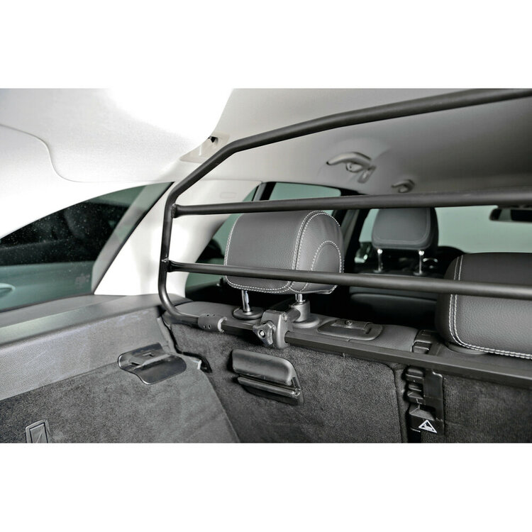Grille pare chien Lexus CT 03/2011 - 12/2020