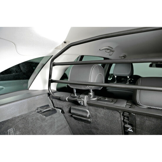 Grille pare chien Lexus RX 01/2016 - 11/2022