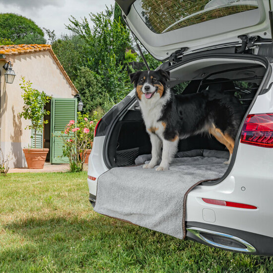 apis pour chien pour hayon &ndash; Avec protection de pare-chocs