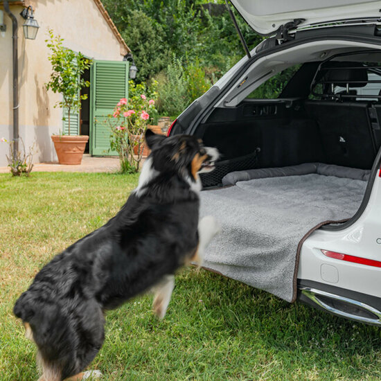 apis pour chien pour hayon &ndash; Avec protection de pare-chocs