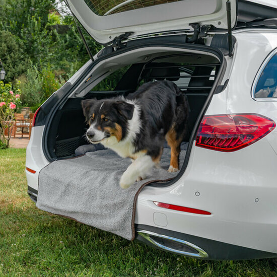 apis pour chien pour hayon &ndash; Avec protection de pare-chocs