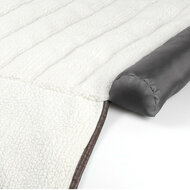 apis pour chien pour hayon &ndash; Avec protection de pare-chocs