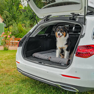 apis pour chien pour hayon &ndash; Avec protection de pare-chocs