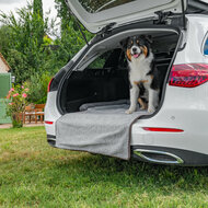 apis pour chien pour hayon &ndash; Avec protection de pare-chocs