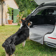 apis pour chien pour hayon &ndash; Avec protection de pare-chocs