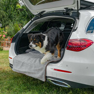 apis pour chien pour hayon &ndash; Avec protection de pare-chocs